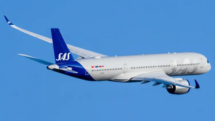 AIRBUS SAS ABS5678AD41-3 Швейная пряжа (лен) Швейная льняная швейная пряжа — 101 Nut Brown (ABS5678AD41-3)