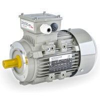 ACA 132 S-6 / PHE Электродвигатель AC MOTOREN ACA 132 S-6 / PHE