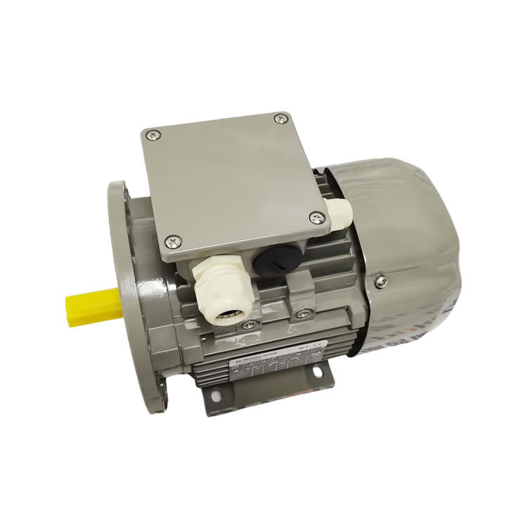 Электродвигатель AC MOTOREN ACA 80 B-2/PHE