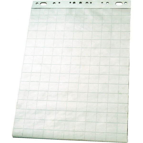 Блок для флипчартов ESSELTE 65x95/65x100 см, 50 листов (код 96553)