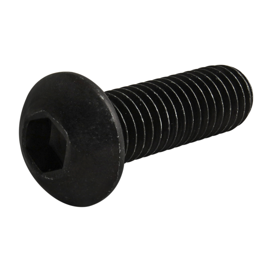 118325 M8 X 25MM BHSCS BLACK