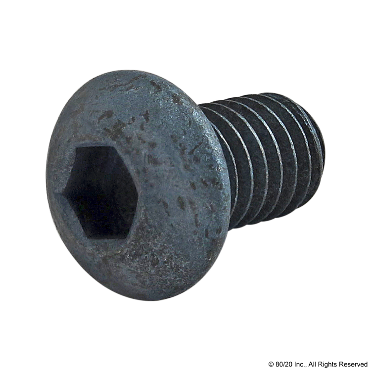 176310 M6 X 10MM BHSCS [SS]